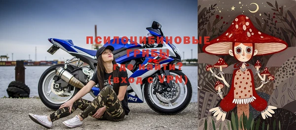тгк Дмитровск