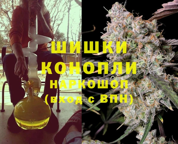 тгк Дмитровск