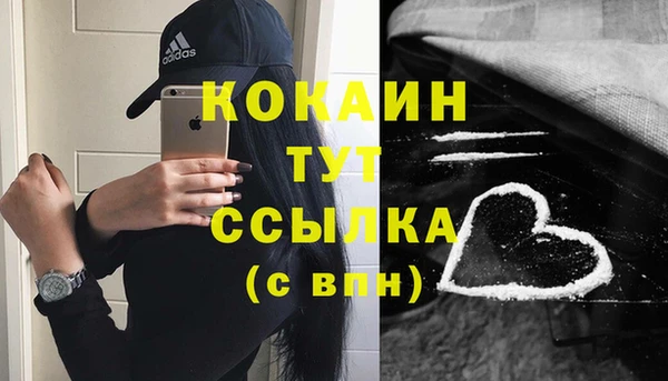 мяу мяу мука Дмитров