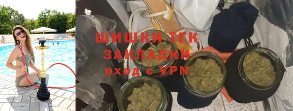 тгк Дмитровск